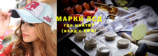 сатива Михайловка