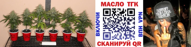 ТГК гашишное масло  Купить закладки  Северодвинск 